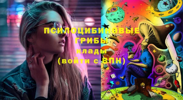 прущие грибы Аркадак