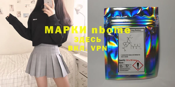 прущие грибы Аркадак