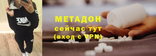 прущие грибы Аркадак