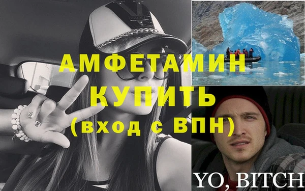 прущие грибы Аркадак