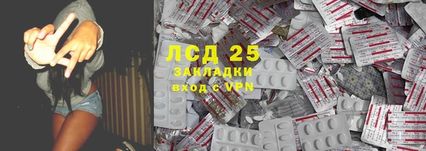 прущие грибы Аркадак